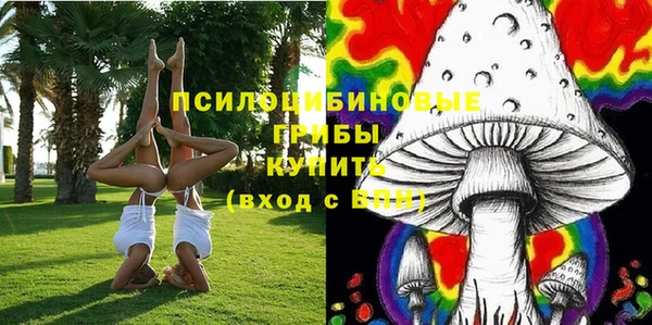 каннабис Осташков