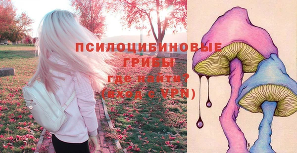 каннабис Осташков