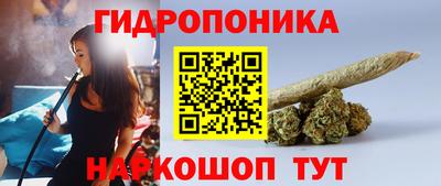 трава Гусь-Хрустальный