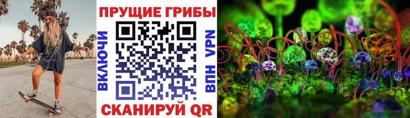 нарко площадка формула  Миасс  Псилоцибиновые грибы GOLDEN TEACHER 